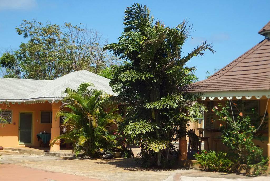 Pimento Lodge Resort Port Antonio Esterno foto