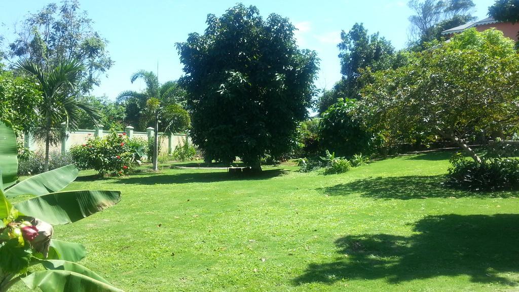Pimento Lodge Resort Port Antonio Esterno foto