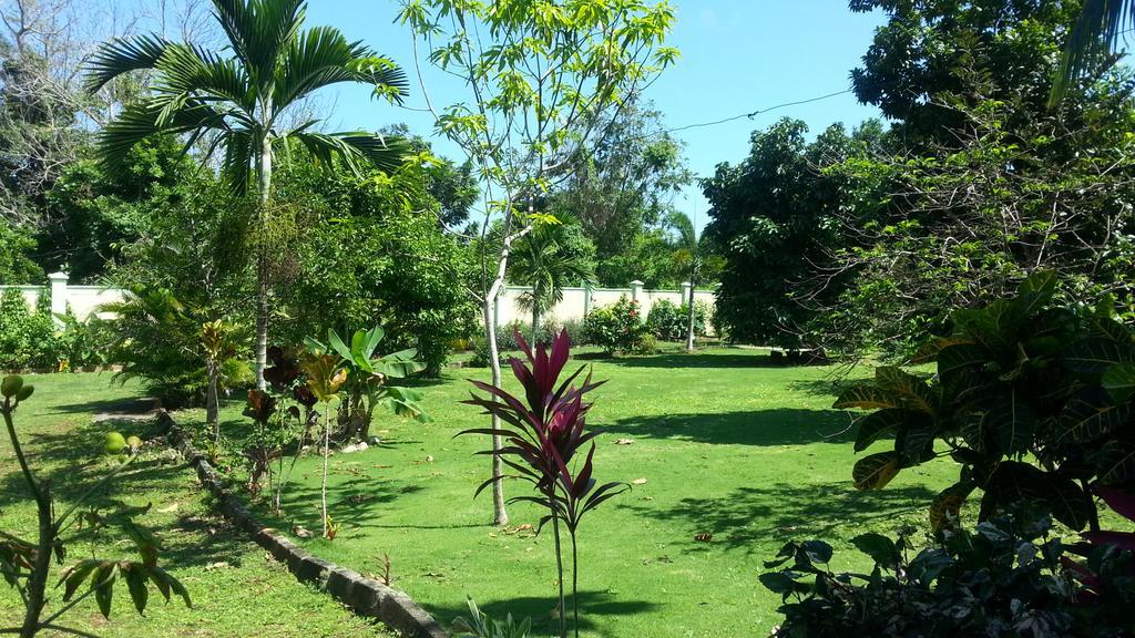 Pimento Lodge Resort Port Antonio Esterno foto