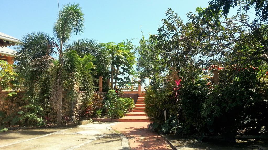 Pimento Lodge Resort Port Antonio Esterno foto
