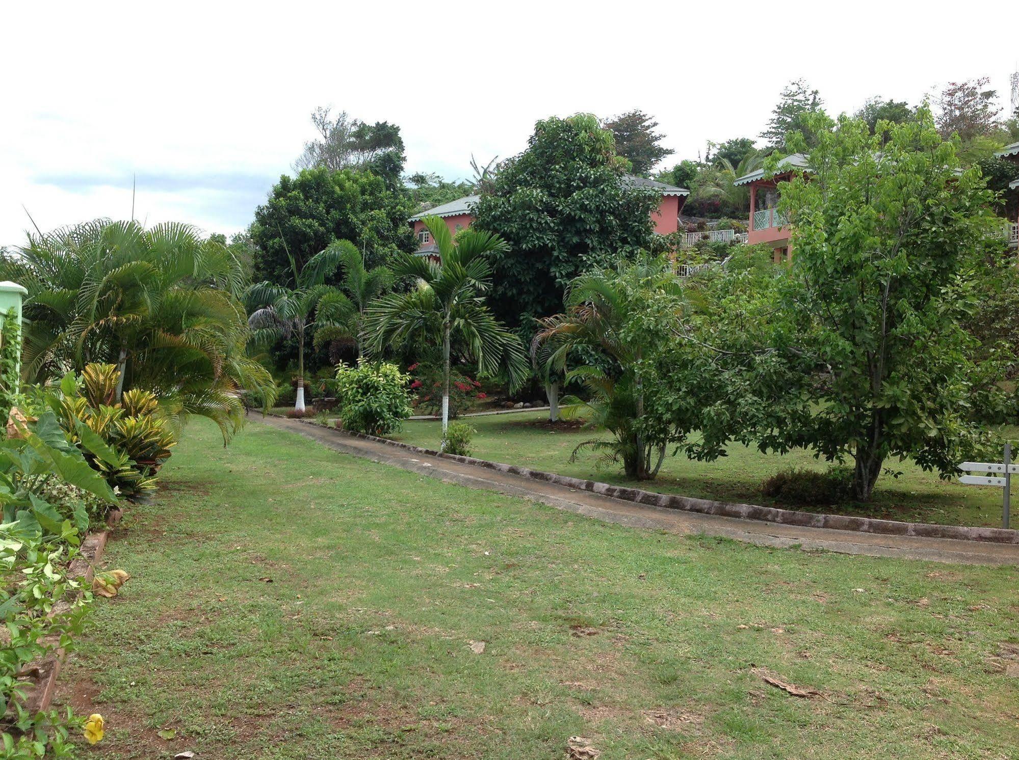 Pimento Lodge Resort Port Antonio Esterno foto